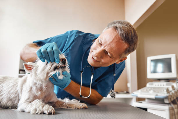 Best Emergency Wisdom Tooth Extraction in Bath, PA